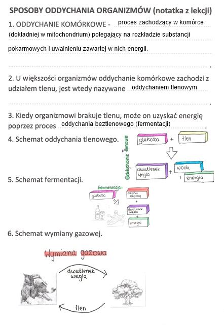 Sposoby oddychania organizmów KP 2 uzupełniona Złoty nauczyciel