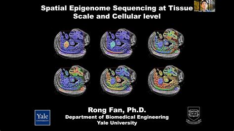 Spatial Epigenome Sequencing Of Tissues At Cellular Level YouTube