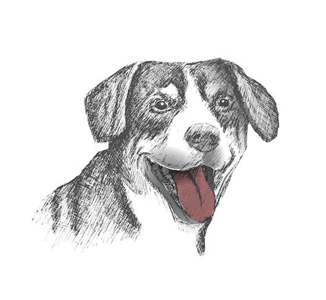 Dog Sketch Art Images - Free Download on Freepik