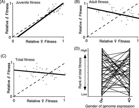 A Major Axis Regression Of Male Versus Female Juvenile Fitness Egg