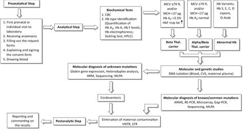 Invasive And Noninvasive Approaches In Prenatal Diagnosis Of Thalassemias Intechopen