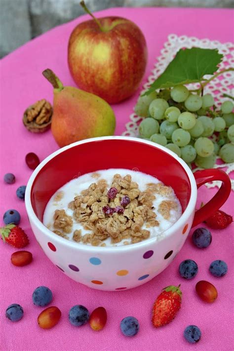 Gezond Ontbijt Yoghurt Met Muesli En Vers Fruit Stock Foto Image Of