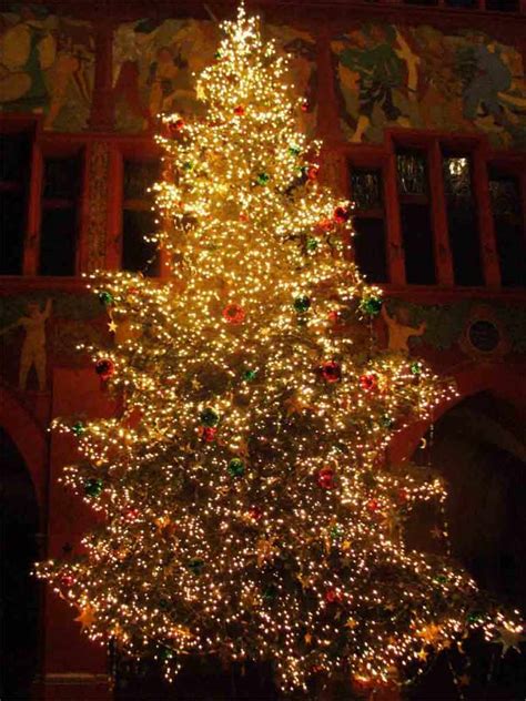 Beautiful Real XMas Trees - The Wondrous Pics