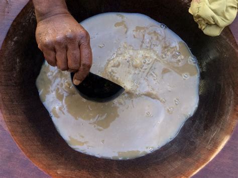 The Future of Kava: Emerging Trends and Technologies in Kava Production ...