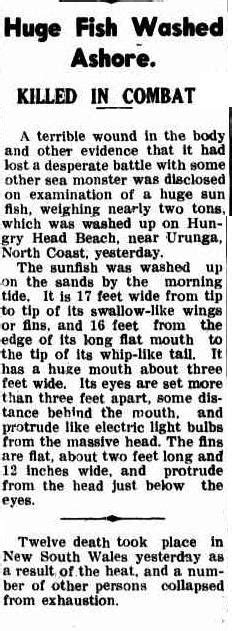 The Cessnock Eagle And South Maitland Recorder NSW 1913 1954