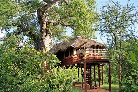 Explore Elewana Collection’s Tarangire Treetops | Discover Africa Safaris