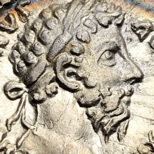 Understanding The World Of Ancient Coins - Complete Guide