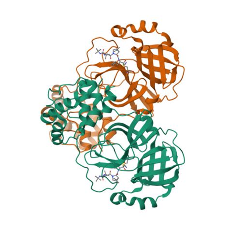 RCSB PDB 7BRP Crystal Structure Of The 2019 NCoV Main Protease