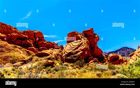 The Erratic Red Aztec Sandstone Formation Near The Arch Rock Campground Under Clear Blue Sky In