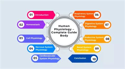 Human Physiology - Complete Guide - IntakeLearn