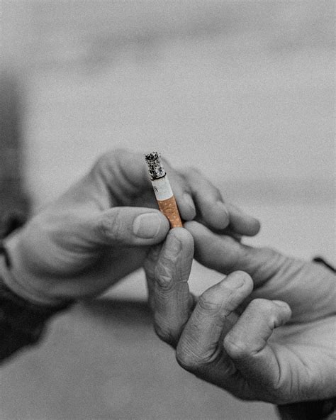 ARIZONA AVENUE (@arizonaavenueofficial) • Instagram photos and videos