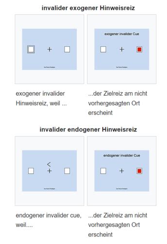 Aufmerksamkeit VL6 Karteikarten Quizlet