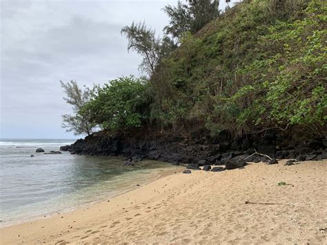 Sealodge Beach Kauai - Kauai Travel Blog