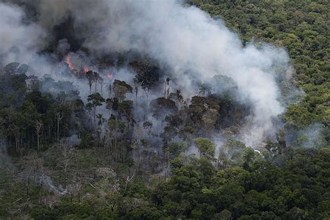 Brazil is up in flames—here’s why: industrial agriculture, - Greenpeace ...