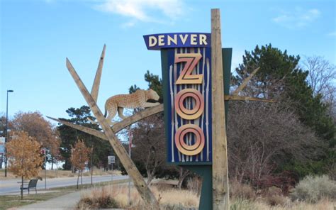 Denver Zoo Information. It Has Animals & Reptiles. And Snacks.