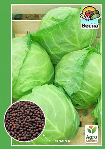 Капуста "Раннеспелая" ТМ "Весна" 0.5г купить почтой в Одессе, Киеве ...