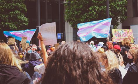 Movimento Lgbtqia História Conquistas Importância E Como Apoiar