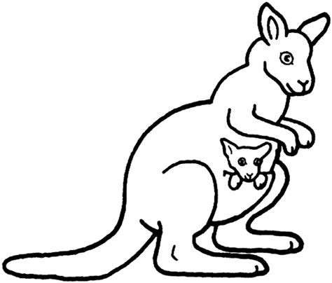 Download High Quality kangaroo clipart outline Transparent PNG Images ...