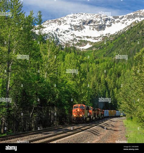 BNSF freight train below nyaak mountain in the flathead range near