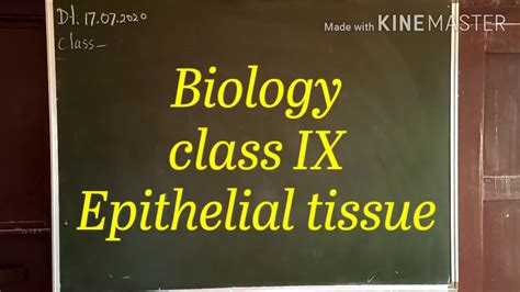 Epithelial Tissue Class Ix Biology Youtube