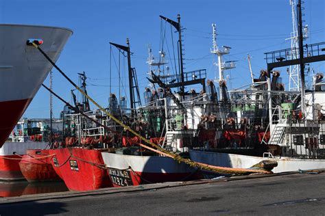 Mar Del Plata Paro Del Simape Paraliza Salida De Buques Pesqueros