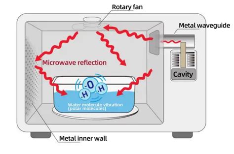 Why Stainless Steel Can Be Used In Microwaves Uncovering The Truth And