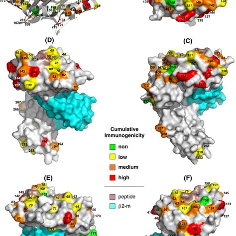 Studyderived Hot And Cold Immunogenic Spots Topographic Visualization