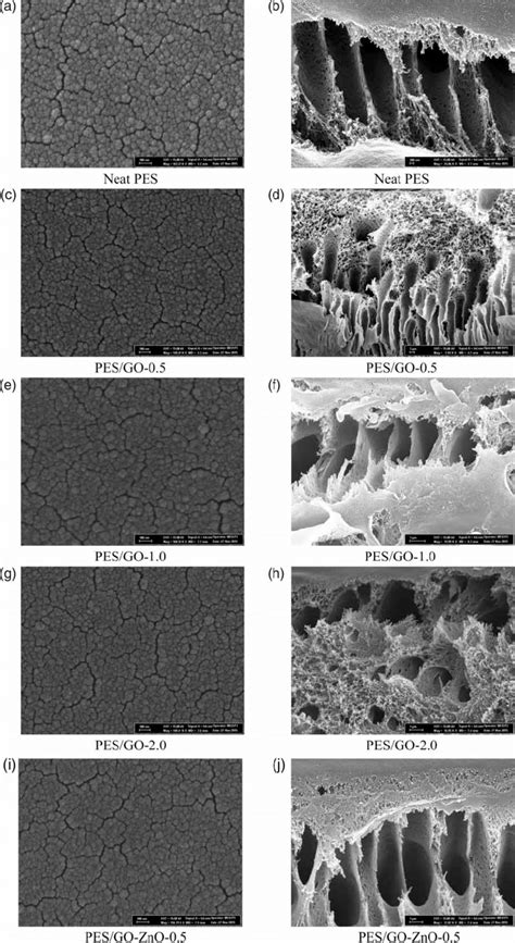 Top Surface And Cross Section SEM Images Of The Neat PES PES GO And