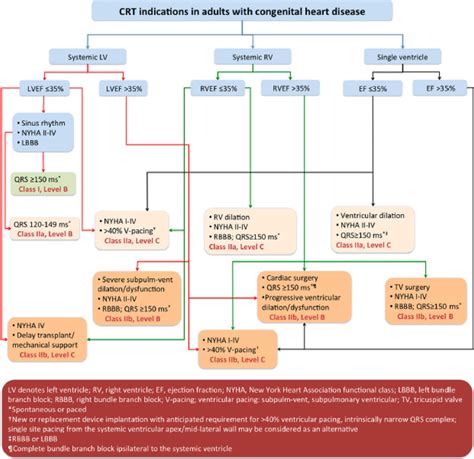 Overview Of Recommendations For Cardiac Resynchronization Therapy Crt