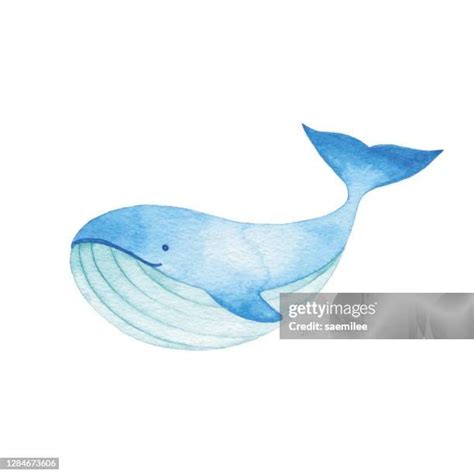 14 Watercolor Blue Whale Stock Photos, High-Res Pictures, and Images - Getty Images