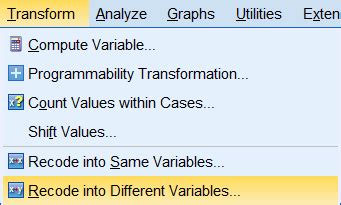 Recoding Variables In Ibm Spss Hkt Consultant