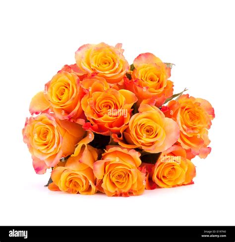 Yellow Rose Flower Bouquet Isolated On White Background Cutout Stock