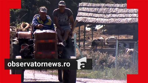 O zi din viaţa localnicilor din Vaslui judeţul condus de baronul