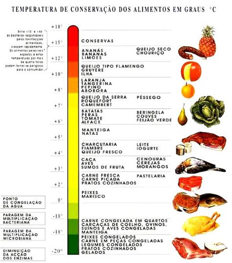 Como Manter A Temperatura Dos Alimentos E Presenvar A Qualidade