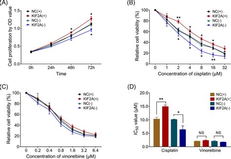 Effect Of Kif A On Cell Proliferation And Chemosensitivity Comparison