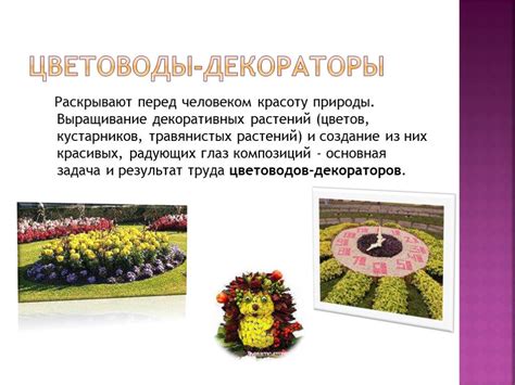Презентация "Цветоводство и декоративное садоводство" (10 класс) по ...