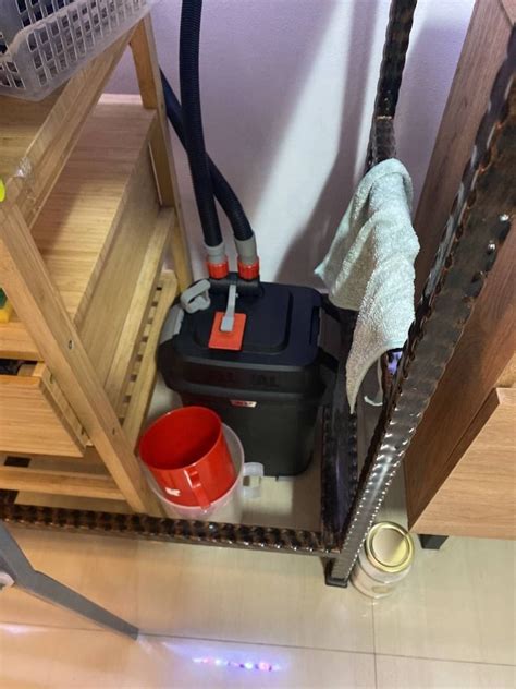 Fluval 307, Pet Supplies, Homes & Other Pet Accessories on Carousell