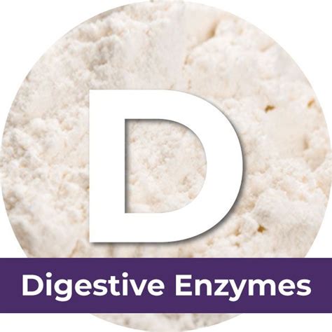 Digestive Enzymes | Ingredients | Dr Bill’s Pet Nutrition