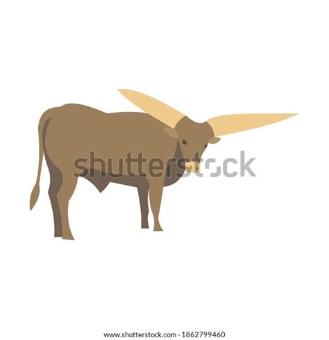 Bull Watussi African Largest Horns World Stock Vector (Royalty Free ...