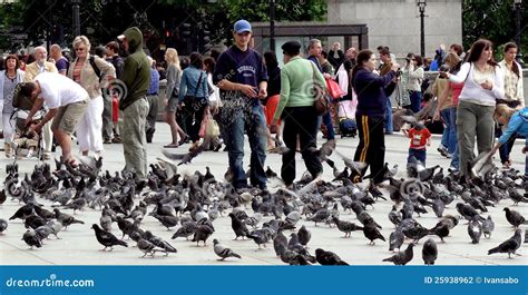 Feeding pigeons in London editorial photography. Image of group - 25938962