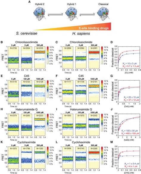 SmFRET Measurements Of Drug Titrations On The Yeast And Human