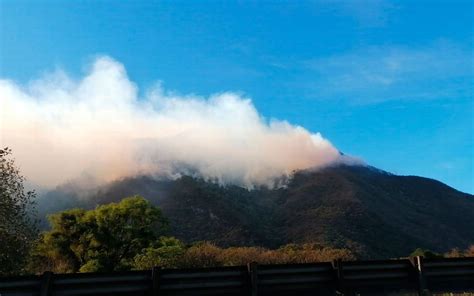 Veracruz Forest Fires Families Are Evacuated In Nogales Due To