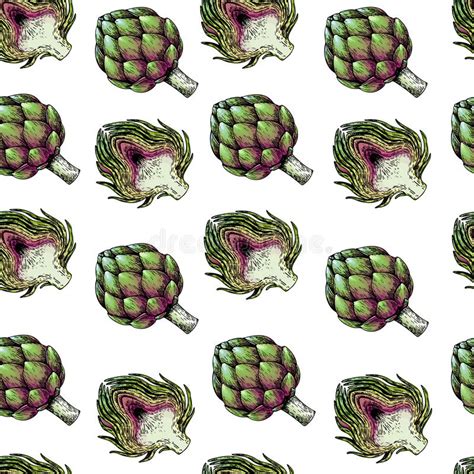 Vector Hand Drawn Seamless Pattern Of Artichokes Colored Detailed Illustration Farm Vegetables