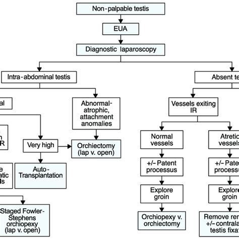 Pdf Diagnosis And Management Of Cryptorchidism