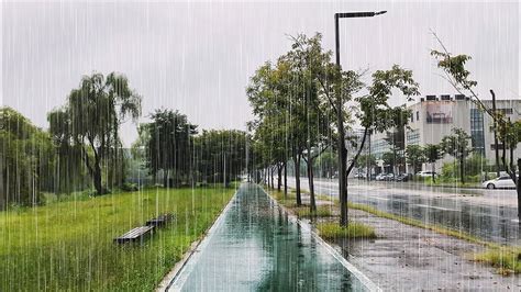 4K Walking In Heavy Rain Paju Book City Binaural Rain Sounds