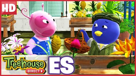 Los Backyardigans En Ciudad Jard N Treehouse Direct Espa Ol Video