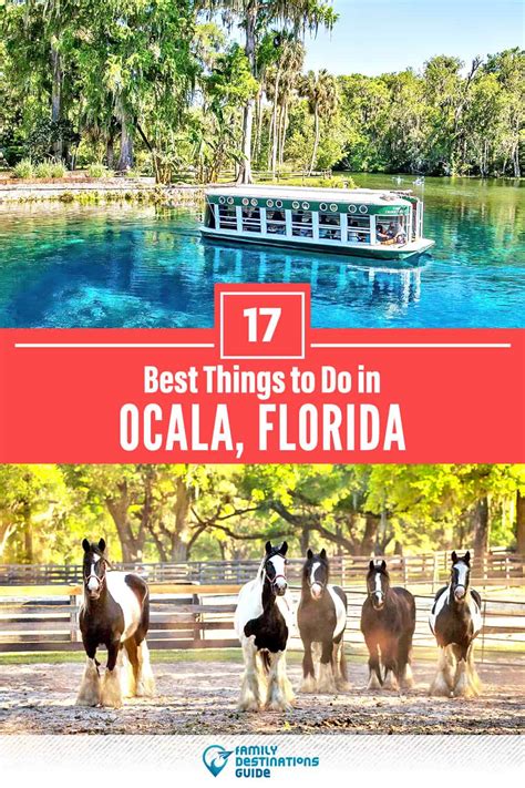 17 Best Things To Do In Ocala Fl For 2024