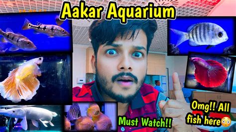 One Shop👍 For All Aquarium Fish🔥 Aakar Aquarium Fish Shop Borivali