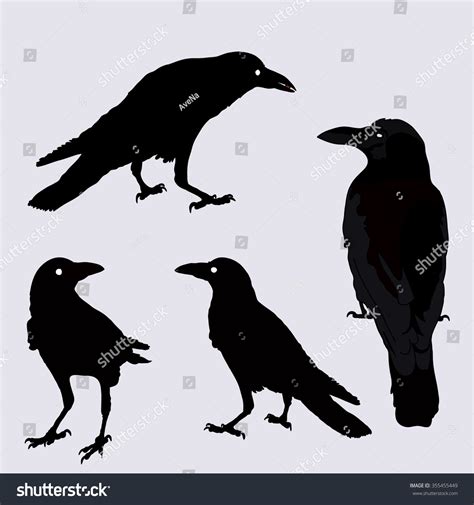 Silhouette Crows Different Positions Vector Illustration Stock Vector