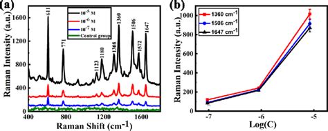 Raman Spectra Of R6g With Different Concentrations A Raman Spectra